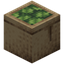 Bag of Lettuce
