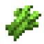Sugar Cane