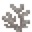 Dead Horn Coral