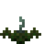 Ghost Fern