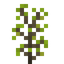 Horseweed