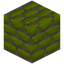 Moldavite Small Bricks
