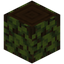 Overgrown Dark Oak Log