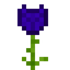 Tanzanite Glowrose