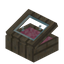 Pink Transformation Display Case