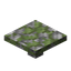 Mossy Cobblestone Step