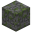 Runic Carved Mossy Stone Bricks