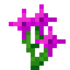 Mystical Magenta Flower