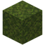 Moss Block