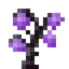 Enderbark Propagule