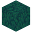 Seared Warped Wart Block