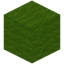 Lime Wool