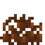 Cocoa Coral Fan