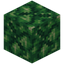 Budding Time Crystal Block