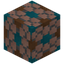 Paved Brown Glazed Terracotta