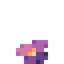 Nightfan Bush