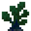 Sea Beet