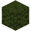 Leafy Dried Kelp Block