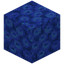 Tube Coral Block