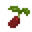 Mulberry Seed