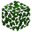 Walnut Leaves