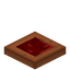Warted Acacia Trapdoor