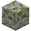 Mossy Marble Bricks