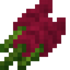 Amaranth