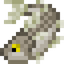 Atlantic Cod