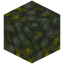 Block of Raw Uranium