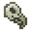 Hippogryph Skull