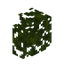 Jungle Hedge