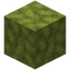 Bulby Sponge