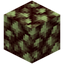 Block of Raw Monazite