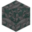 Mossy White Dacite Bricks