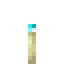 End Stone Bricks Soul Torch