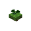 Floating Green Flower