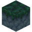 Lush Aridrock