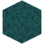 Sponge