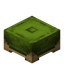 Green Stool