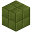 Conifer Fire Bricks