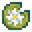 Big Flower Lily Pad