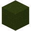Knitted Green Wool