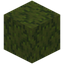 Sprinkled Moss Block