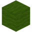 Lime Wool