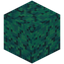 Crumbled Warped Wart Block