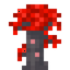 Blazing Archwood Sapling