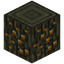 Golden Oak Log