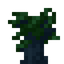 Dark Oak Sapling