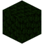 Darkwood Leaves